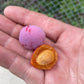 'Sokol' Plum Seeds (Prunus spp.)  - (Zone 3) - 15+ Seeds