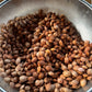 'Sokol' Plum Seeds (Prunus spp.)  - (Zone 3) - 15+ Seeds