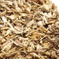Achicoria de café (Cichorium intybus 'Polanowicka') - Más de 500 semillas
