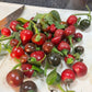 Sweet Cherry Pimento Pepper - Pepper Seeds - Heirloom Sweet Pepper - 10+ Seeds