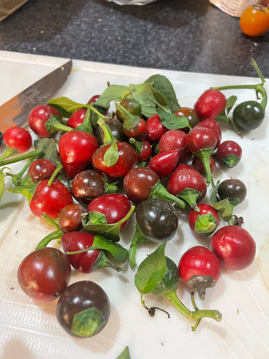 Sweet Cherry - Pepper Seeds - Heirloom Sweet Pepper - 10+ Seeds