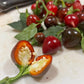 Sweet Cherry Pimento Pepper - Pepper Seeds - Heirloom Sweet Pepper - 10+ Seeds