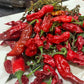 Shishito Pepper - Pepper Seeds - Heirloom Mild Hot Pepper - 10+ Seeds