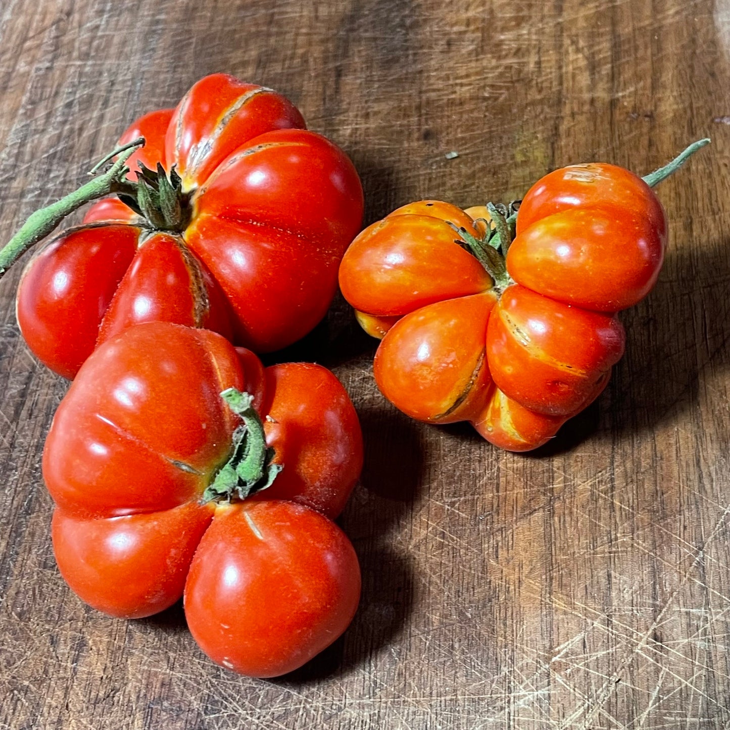 Godzilla - Tomato Seeds - Heirloom Tomato - 25+ Seeds