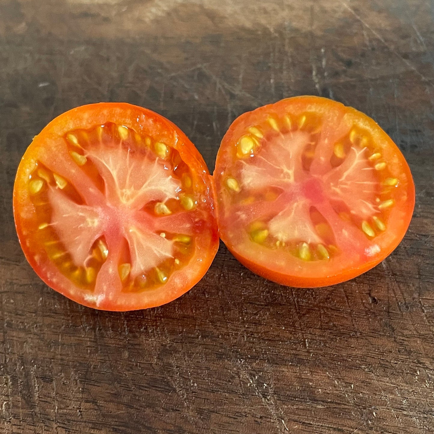 Lida Ucraniana - Semillas de Tomate - Tomate Heirloom - Más de 25 Semillas