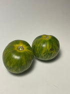 
Green Zebra