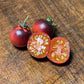 Graines de myrtilles et de tomates - Tomates anciennes - 25+ graines