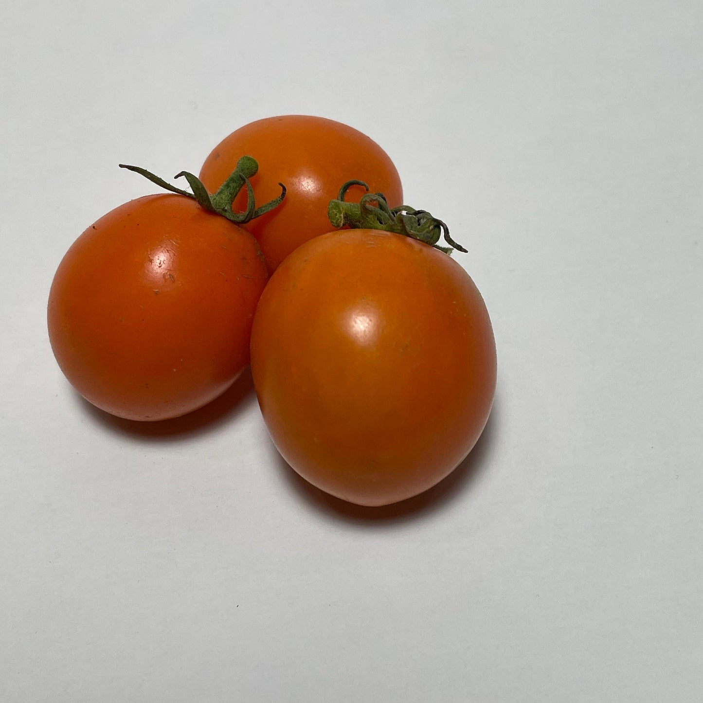 Sun Sugar XL - Graines de tomates - 25+ graines