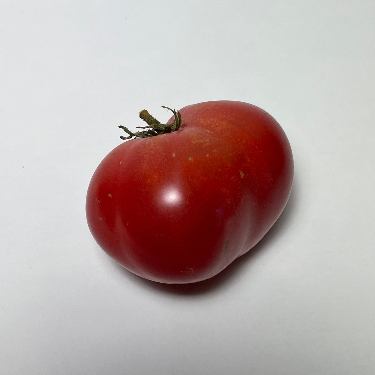 Pink Brandywine - Tomato Seeds - Heirloom Tomato - 25+ Seeds