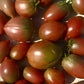 Purple Russian - Graines de tomates - Tomate héritage - 25+ Graines