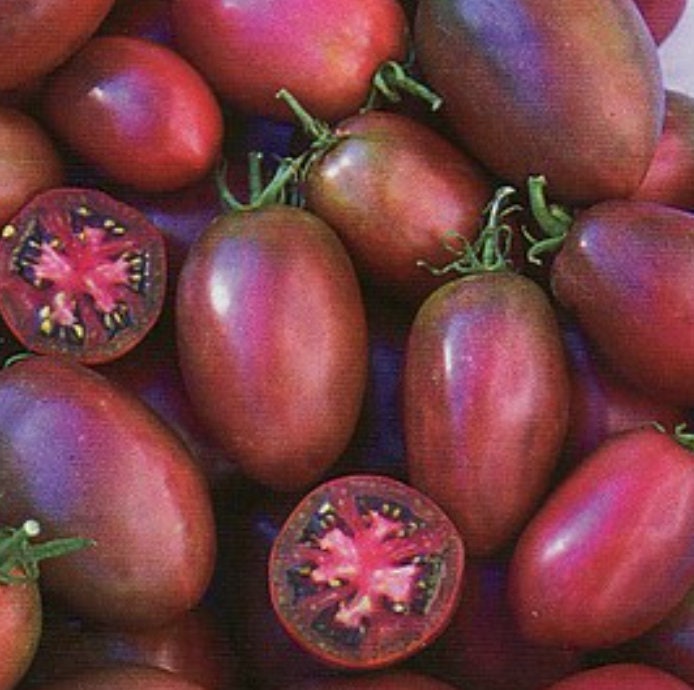 Purple Russian - Graines de tomates - Tomate héritage - 25+ Graines