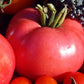Pink Brandywine - Graines de tomates - Tomates anciennes - 25+ graines