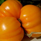 Fraise orange - Graines de tomates - Tomate héritage - 25+ graines