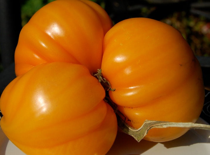 Orange Strawberry - Tomato Seeds - Heirloom Tomato - 25+ Seeds