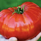 Graines de tomates géantes allemandes - Tomate Heirloom - 25+ graines