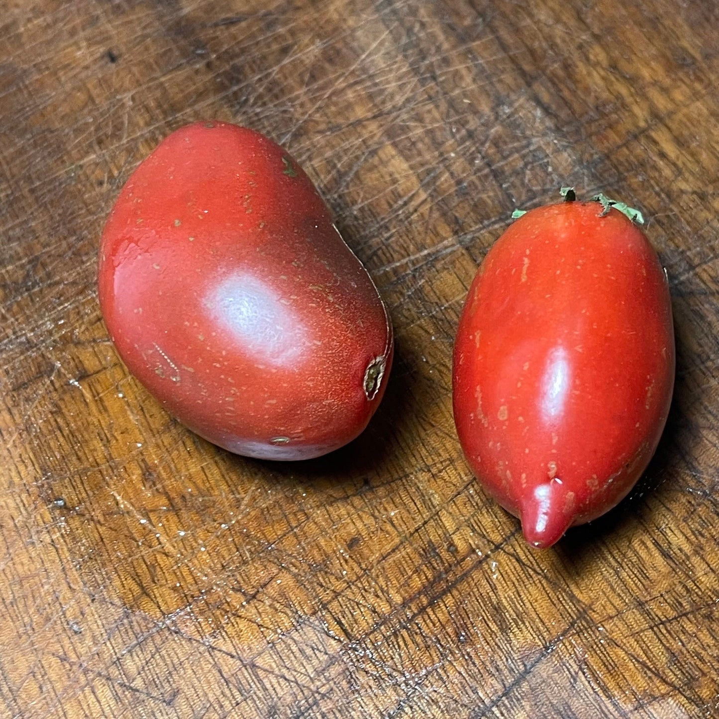 Purple Russian - Tomato Seeds - Heirloom Tomato - 25+ Seeds