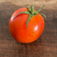 Lida Ukrainian - Tomato Seeds - Heirloom Tomato - 25+ Seeds