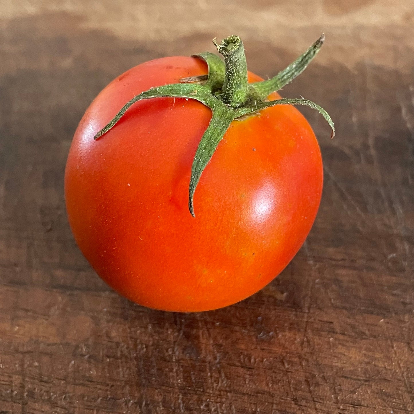 Lida Ucraniana - Semillas de Tomate - Tomate Heirloom - Más de 25 Semillas