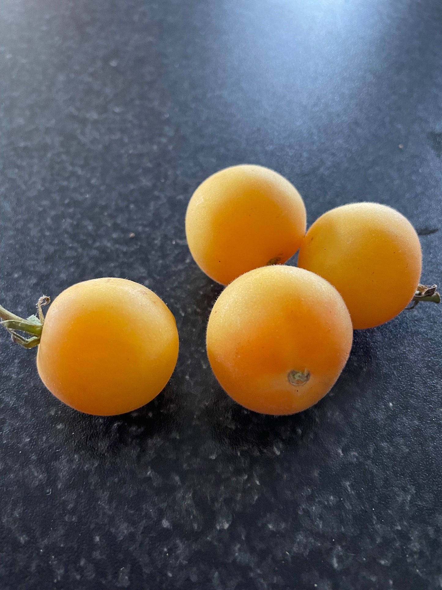 Garden Peach - Tomato Seeds - Heirloom Tomato - 25+ Seeds