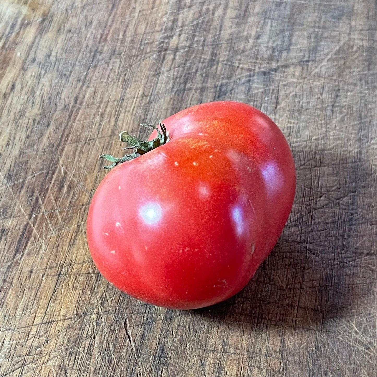 Pink Brandywine - Tomato Seeds - Heirloom Tomato - 25+ Seeds