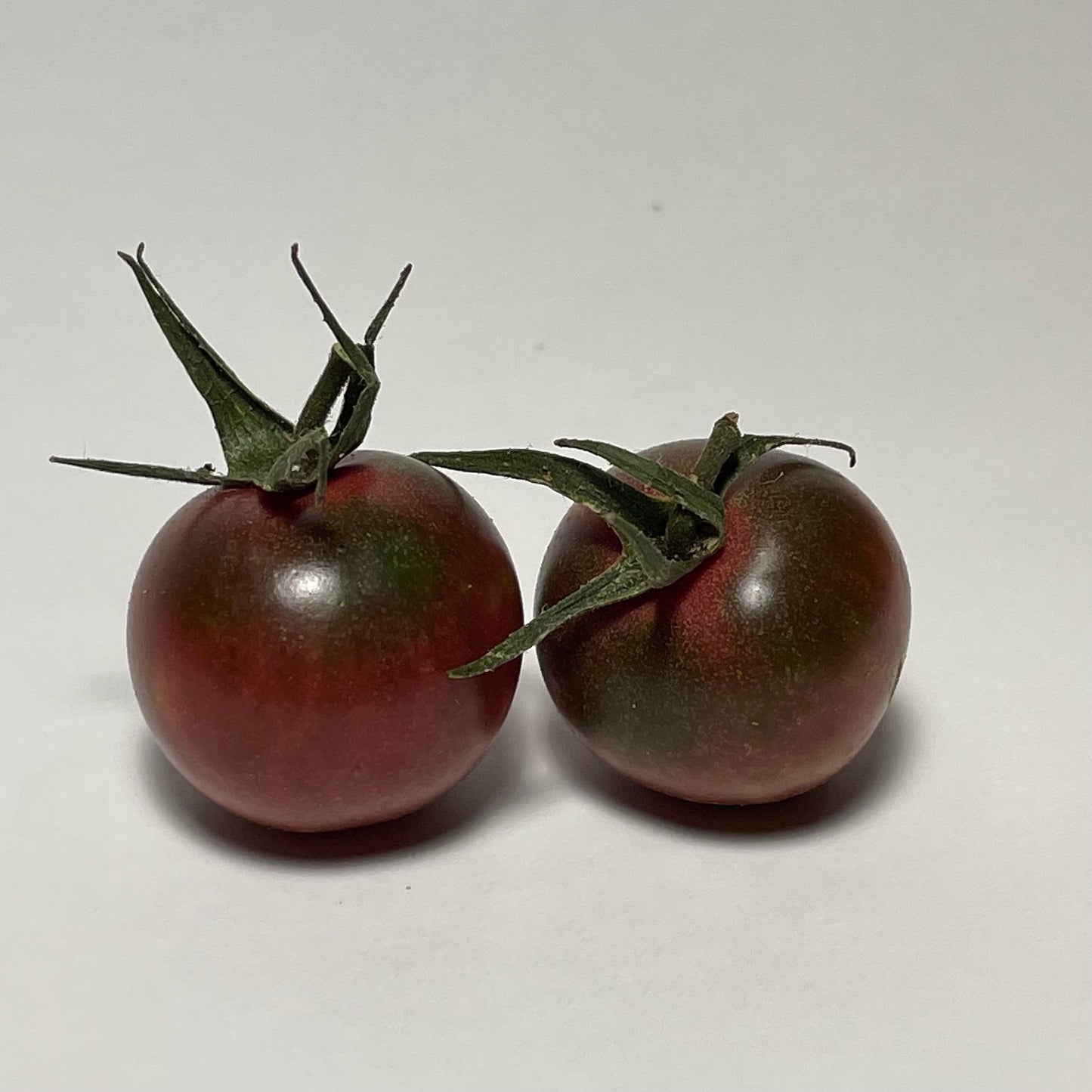 Cerise noire - Graines de tomates - Tomate héritage - 25+ graines