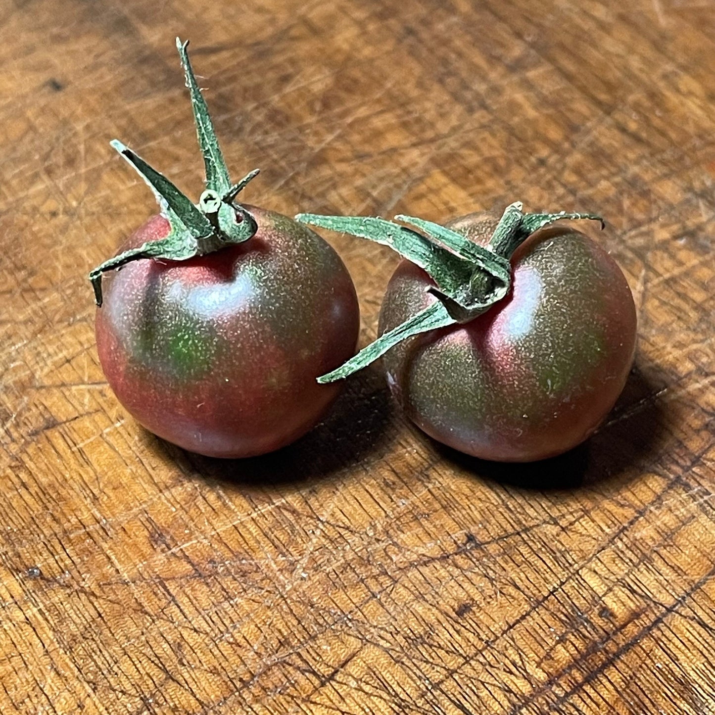Cereza Negra - Semillas de Tomate - Tomate Heirloom - Más de 25 Semillas