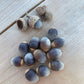 Bur Oak Acorns (Quercus macrocarpa)