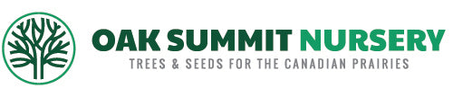 Oak Summit Nursery Logo